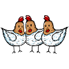 3 poulets gang