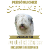 Sheep poodle dog - sheep poodle
