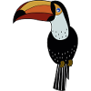 Parrot, black parrot