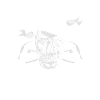 Dachdecker