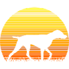 German Shorthaired Pointer Sunrise