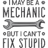 Mechanic Fix Stupid