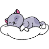 Cat Sleeping Cute