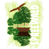 Spreewald - Kanu