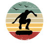 Retro skateboard skater skateboarding skateboarder