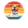American Staffordshire Terrier