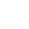 Jagdterrier