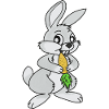 Hare, Grey Hare, White Hare