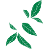 green nature leaves 3 c1