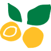 Apricot fruit c2