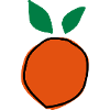 Apricot fruit2 c3