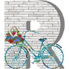 bicycle e 100 r