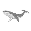 Sparkly whale