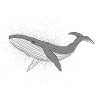 Sparkly whale