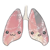 Lung organ
