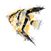scalar
