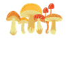 Mushroom Mushrooms Mycology