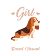 Basset Hound