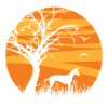 Podenco Canario sunrise