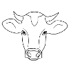 Vache