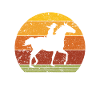 Must ride