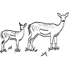 Rehe lineart
