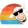 Sheep with sunglasses