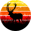 Deer forest animal sunset