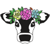 Cow, Funny cow