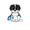 Landseer