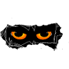 Eyes