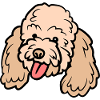 Cute Dog