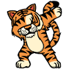 Animal Wildlife Cool Tiger