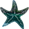 Starfish Thailand