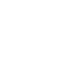 partisan