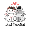 Just Meowied