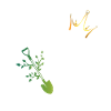 Damen Garten Queen