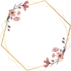 Geometric elegance with pink flowers