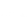 motorcycle evolution graphic