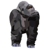 Gio, the gorilla