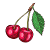 MY CHERRY