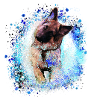 german shepherd,dog,graffiti, German shepherd dog,