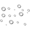 Drops of water rain