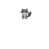 raccoon