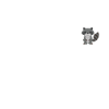 raccoon