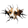 Jack Russell crack hole