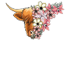 Des fleurs de haute-terre