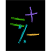 mathematics
