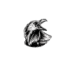 Satanic Crow Pentagram Aesthetic Occult Raven