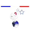 france euro football gift
